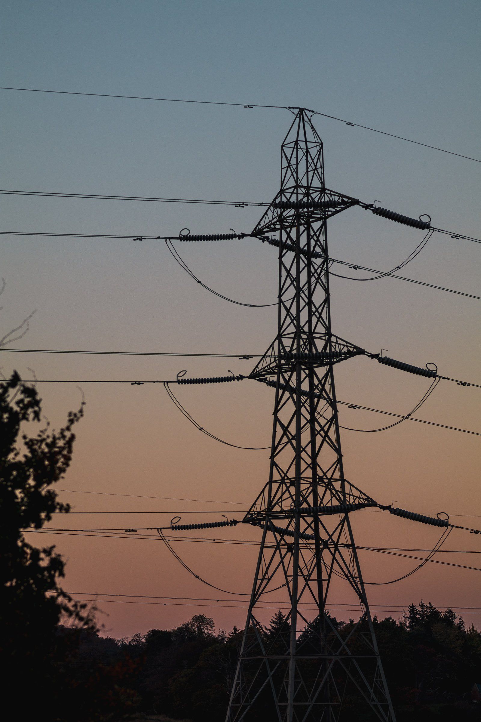 A sunny path across a hill flanked by power poles.